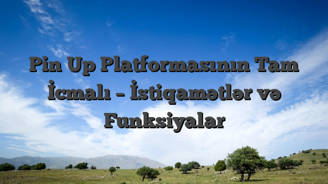Pin Up Platformasının Tam İcmalı – İstiqamətlər və Funksiyalar