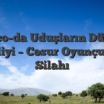 Pinco-da Uduşların Düşmə Tezliyi – Cəsur Oyunçunun Silahı