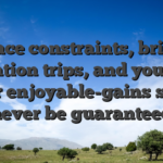 Place constraints, bring vacation trips, and you will wager enjoyable-gains should never be guaranteed