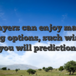 Players can enjoy many betting options, such win, put, and you will prediction bets