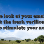 Please look at your email and click the fresh verification link to stimulate your account