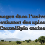 Plongez dans l’univers éblouissant des spins de CasualSpin casino