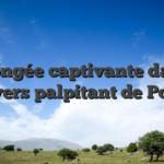 Plongée captivante dans l’univers palpitant de Powbet
