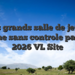 Plus grands salle de jeu en ligne sans controle parmi 2026 VL Site
