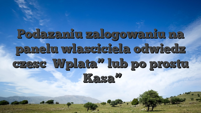 Podazaniu zalogowaniu na panelu wlasciciela odwiedz czesc �Wplata” lub po prostu �Kasa”