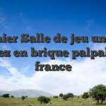 Premier Salle de jeu un brin Pourrez en brique palpable en france