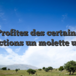 Profitez des certains traductions un molette un peu