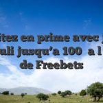 Profitez en prime avec juste particuli  jusqu’a 100� a l�egard de Freebets