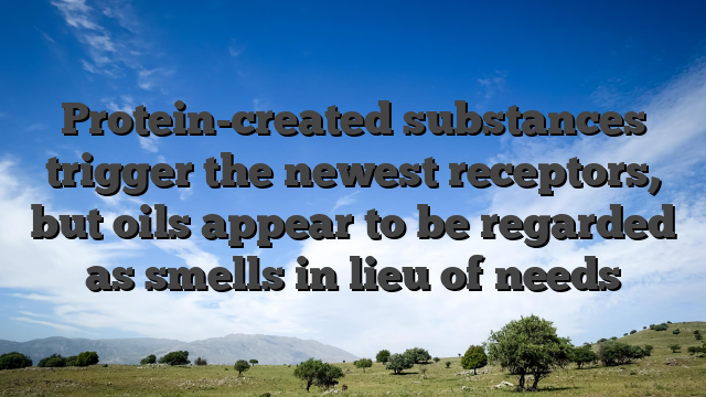 Protein-created substances trigger the newest receptors, but oils appear to be regarded as smells in lieu of needs