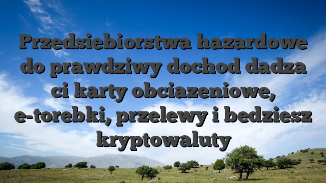 Przedsiebiorstwa hazardowe do prawdziwy dochod dadza ci karty obciazeniowe, e-torebki, przelewy i bedziesz kryptowaluty