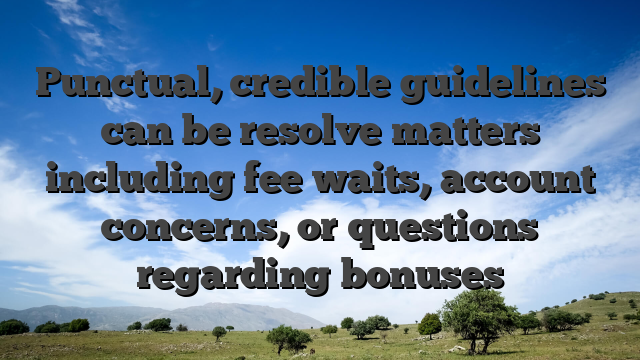 Punctual, credible guidelines can be resolve matters including fee waits, account concerns, or questions regarding bonuses