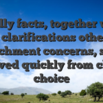 Really facts, together with extra clarifications otherwise detachment concerns, score solved quickly from chat choice
