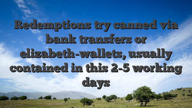 Redemptions try canned via bank transfers or elizabeth-wallets, usually contained in this 2-5 working days