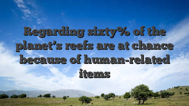 Regarding sixty% of the planet’s reefs are at chance because of human-related items