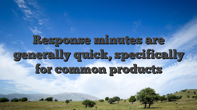 Response minutes are generally quick, specifically for common products