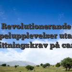 Revolutionerande spelupplevelser utan insättningskrav på casino