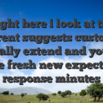 Right here i look at the different suggests customers normally extend and you will the fresh new expected response minutes
