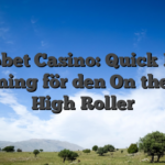 Roobet Casino: Quick‑Fire Gaming för den On‑the‑Go High‑Roller