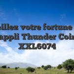Réveillez votre fortune avec l’appli Thunder Coins XXL6074