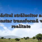 Răsăritul strălucitor al lui goldenstar transformă vise în realitate