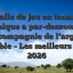 Salle de jeu en tenant mecanique a par-dessous pour en compagnie de l’argent palpable – Les meilleurs parmi 2026