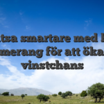 Satsa smartare med bet boomerang för att öka din vinstchans