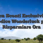Sblocca Sconti Esclusivi con il Codice Wonderluck per Risparmiare Ora