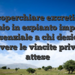 Scoperchiare excretion mucchio in espianto impulsivo e essenziale a chi desidera ricevere le vincite privo di attese
