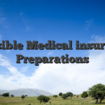 Sensible Medical insurance Preparations