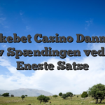 Shakebet Casino Danmark Oplev Spændingen ved Hver Eneste Satse