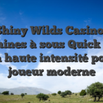 Shiny Wilds Casino : Machines à sous Quick‑Hit & Jeu à haute intensité pour le joueur moderne