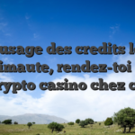 Si ce usage des credits levant le primaute, rendez-toi avec ceci crypto casino chez courbe