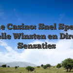 Simple Casino: Snel Spel voor Snelle Winsten en Directe Sensaties