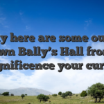 Simply here are some our very own Bally’s Hall from Magnificence your current