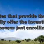 Sites that provide them usually offer the incentive to possess just enrolling