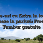 Site-uri cu Extra in locul depunere la pariuri: Freebet & Tambur gratuite