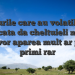 Sloturile care au volatilitate ridicata da cheltuieli mari, inca vor aparea mult ar putea primi rar