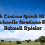 Snatch Casino: Quick‑Hit Slots und Schnelle Gewinne für den Schnell‑Spieler