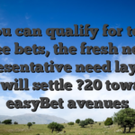 So you can qualify for totally free bets, the fresh new representative need lay and you will settle ?20 towards easyBet avenues