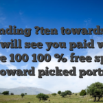 Spending ?ten towards the slots will see you paid which have 100 100 % free spins toward picked ports
