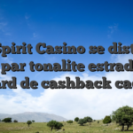 SpinSpirit Casino se distingue tel par tonalite estrade a l�egard de cashback cadeau