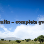 Spinfin — complete guide