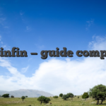 Spinfin — guide complet