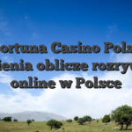 Sportuna Casino Polska zmienia oblicze rozrywki online w Polsce