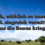 Sprich, wirklich so unsereins z. hd. siegreich vermittelte Fans die Bonus kriegen