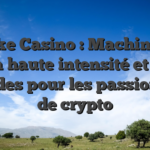 Stake Casino : Machines à sous à haute intensité et gains rapides pour les passionnés de crypto