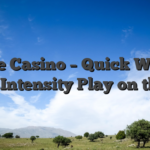 Stake Casino – Quick Wins & High‑Intensity Play on the Go