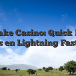 Stake Casino: Quick‑Hit Thrills en Lightning‑Fast Wins