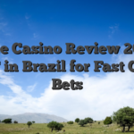 Stake Casino Review 2026 – USDT in Brazil for Fast Crypto Bets