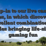 Step-in to our live casino games, in which discover an excellent combination of tables bringing life-sized gaming fun